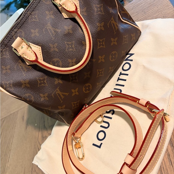 Louis Vuitton Handbags - Louis Vuitton Brown and Tan Satchel